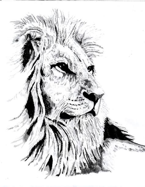 Jesus Lion Graphic Lion Of Judah Ai Ai8 Svg Download Etsy Artofit