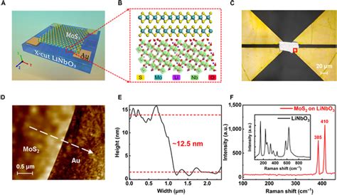 Broadband Polarization Sensitive And Self Powered High Performance