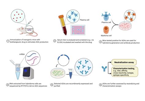 Anti Drug Antibody Assays With Next Generation Protein Sequencing