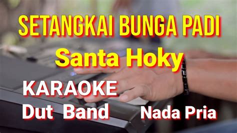 Setangkai Bunga Padi Santa Hoky Karaoke Nada Pria Lirik Dut