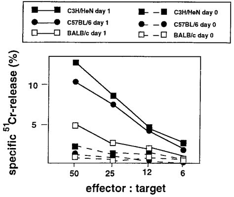 Nk Cell Cytotoxic Activity Of Pln Cells From C57bl 6 C3h Hen And