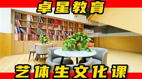 山东艺术生文化课学校 重视学科基础 哔哩哔哩