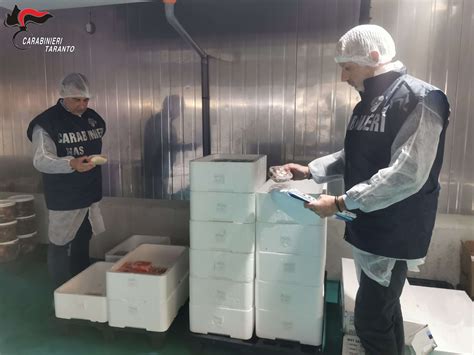 Sequestro Di 650 Kg Di Pesce Non Tracciato A Taranto Trmtv