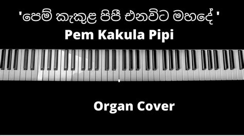 Pem Kakula Pipi Song Learn Listen To Music Youtube