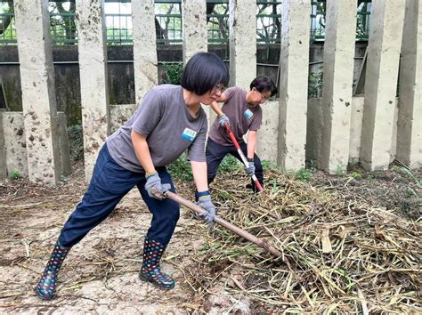 動物保育員有哪些工作？ 高市青年局帶隊訪壽山動物園「後場」 生活 自由時報電子報