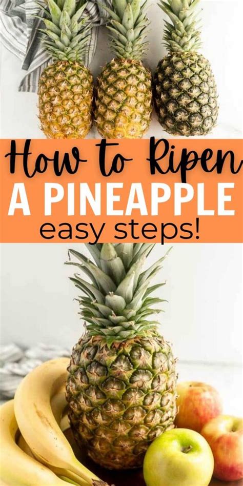 How To Ripen A Pineapple Quickly Eating On A Dime