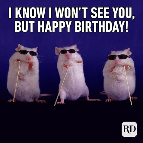 Of The Funniest Happy Birthday Memes Artofit