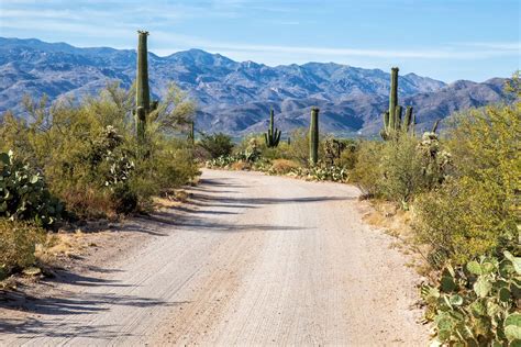 8 Amazing Things To Do In Saguaro National Park Earth Trekkers