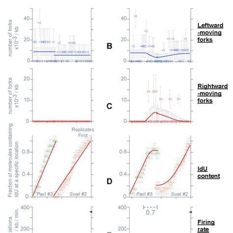 Replication Of The Igh Locus In A Dh Jh Rearranged Clonal Population Of Download Scientific