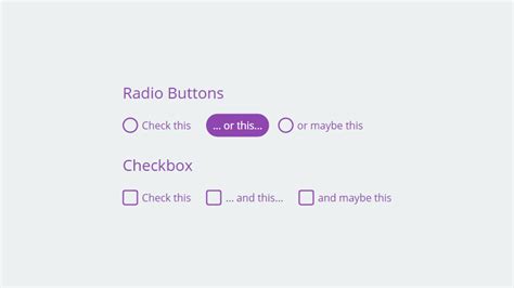 Pure Css Fancy Checkbox Radio