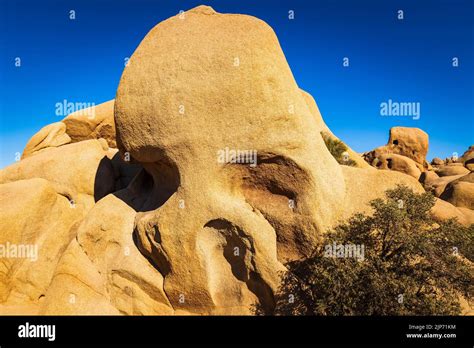 Skull Rock Joshua Tree National Park California Usa Stock Photo Alamy