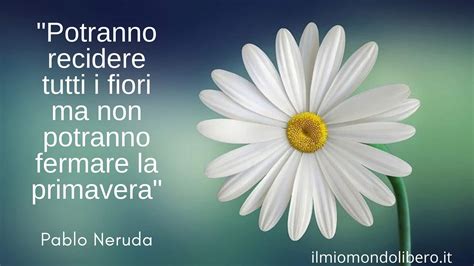 Frasi sulla primavera le più belle dedicate al tempo della rinascita