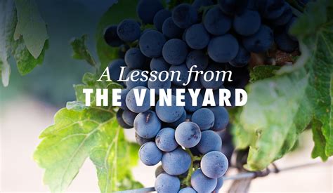 A Lesson from the Vineyard | Lebanon Valley Bible Church