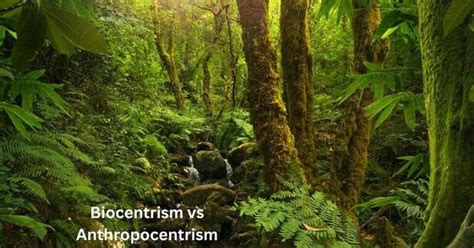 Difference Between Anthropocentrism And Biocentrism