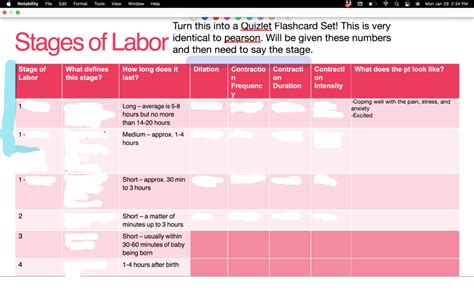 Stages of Labor Diagram | Quizlet