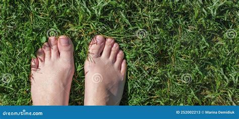 Bare Feet On Green Grass Selfie Female Feet On Green Grass Rustic Lifestyle View From Above