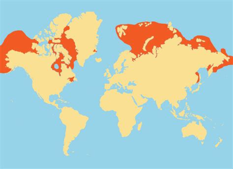 Narwhal Habitat Map