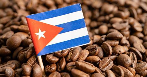 What Makes Cuban Coffee Different? (And Delicious!) | Coffee Break Lovers