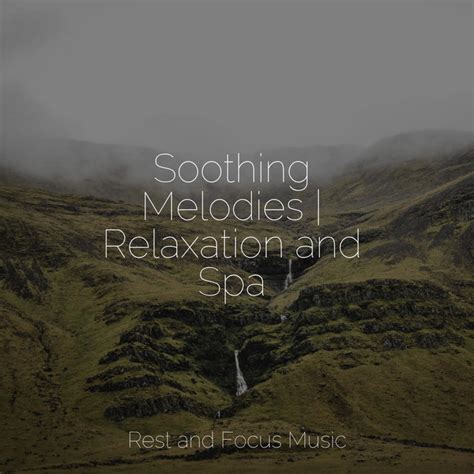 Soothing Melodies Relaxation And Spa Album By Serenity Spa Music