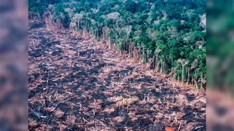 Incendio En Amazonía Jair Bolsonaro Insinúa Que Ong Ambientalistas Están Detrás De Siniestros