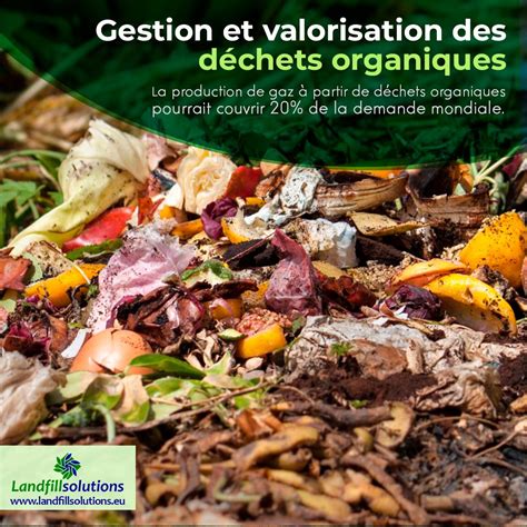 Gestion Et Valorisation Des Déchets Organiques Landfillsolutions