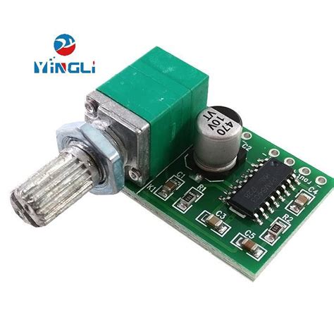 Pam V Digital Small Power Amplifier Board With Switch