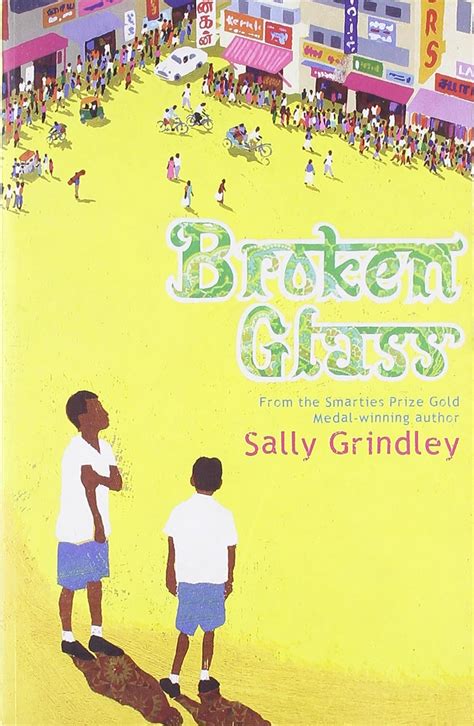 Broken Glass Uk Grindley Sally 9780747586159 Books