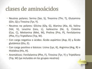 Biomoleculas Ppt