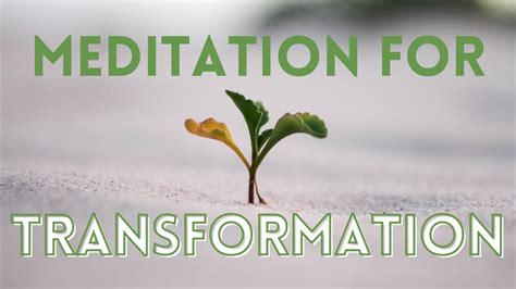 Meditation For Transformation Minute Guided Meditation Youtube