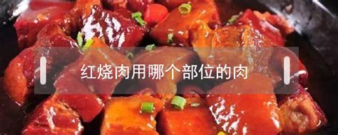 2021年最新肉禽蛋类价格资讯信息，海选全球肉禽蛋种类图片大全 鲜淘网