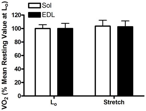 Resting Oxygen Consumption Of Edl And Soleus Muscles At Optimal Length