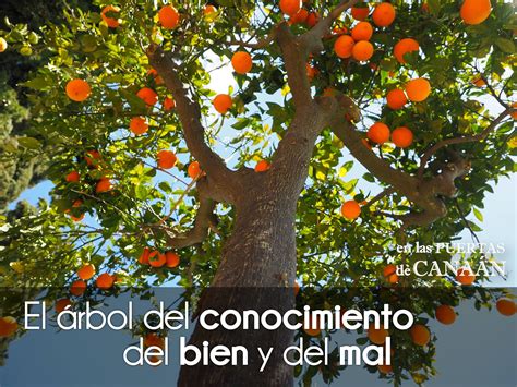 EL ÁRBOL DEL CONOCIMIENTO DEL BIEN Y DEL MAL EN LAS PUERTAS DE CANAÁN