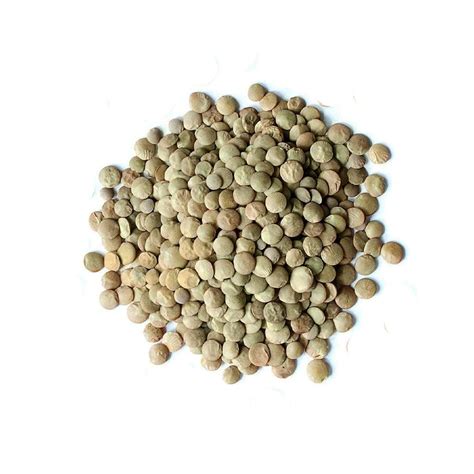 Organic Green Lentils Bulk