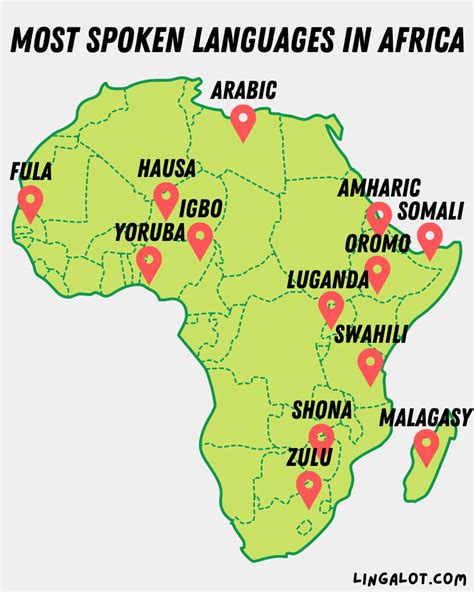 Is African A Language The Languages Of Africa Explained Lingalot