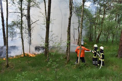 Waldbrand in Tiste 1800 Quadratmeter Waldfläche in Brand