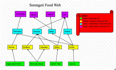 The Food Chain and Threats from human activity - Serengeti Tanzania Savanna