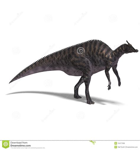 Saurolophus De Dinosaur Illustration Stock Illustration Du Jurassique