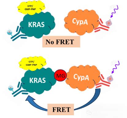 Cypa Kras Bydrug