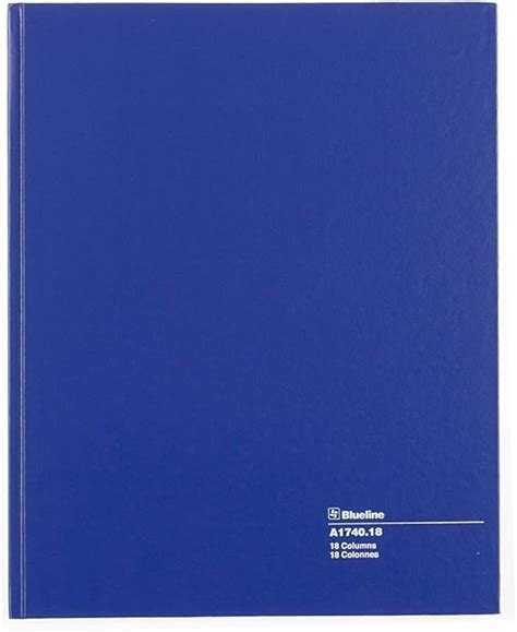 Blueline Columnar Book Perfect Binding 18 Columns With Description