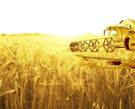 Wheat harvesting machine Stock Photos, Royalty Free Wheat harvesting ...