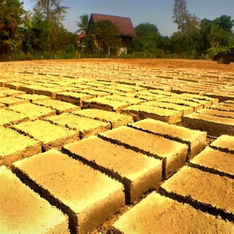 mud bricks drying   aipp building  chiang mai buro architects