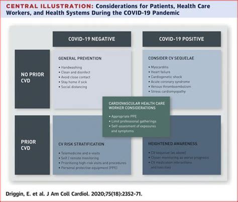 Cardiovascular Considerations For Patients Health Care Workers And