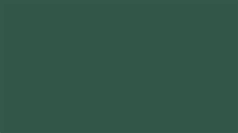 Pantone 19 5511 Tcx Hunter Green Color Hex Color Code 335749