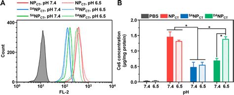 Frontiers Application Of Tumor Phhypoxia Responsive Nanoparticles