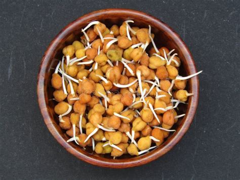 Chickpeas Sprouts in a Wooden Bowl Top View on Black Background Stock ...