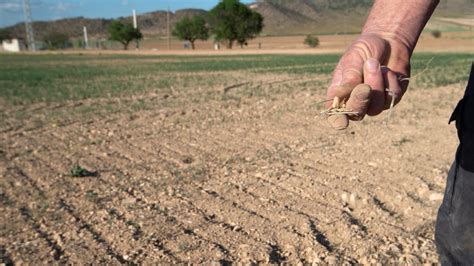 Hacienda Rebaja M Dulos De Irpf Para Agricultores Y Ganaderos De