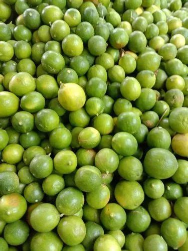 Citrus Fruits In Anantapur Latest Price And Mandi Rates From Dealers In