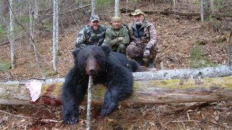 East Siberia Amur Bear Hunt Journey Hunts With Matt Guedes