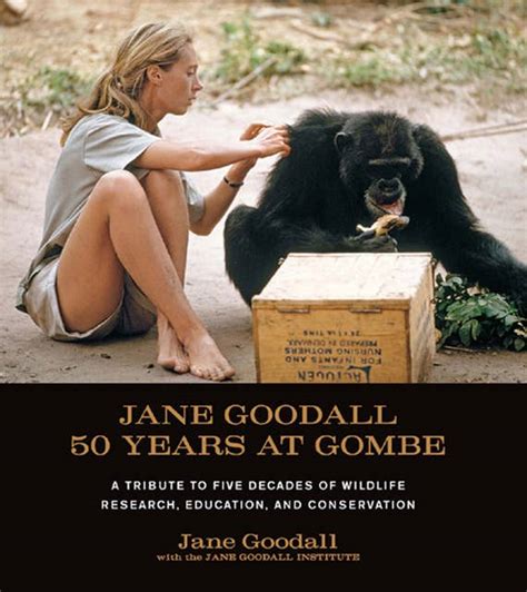 Jane Goodall 50 Years At Gombe A Tribute To The Five Decades Of