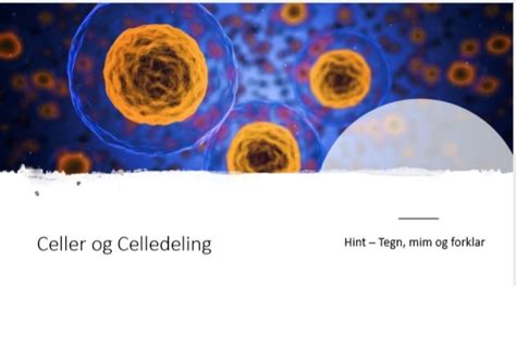 Celler Og Celledeling Hint Bubbleminds